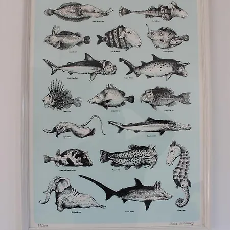 Maison 8 Personnes A 100 M De La De La Clere بيت للعطل *