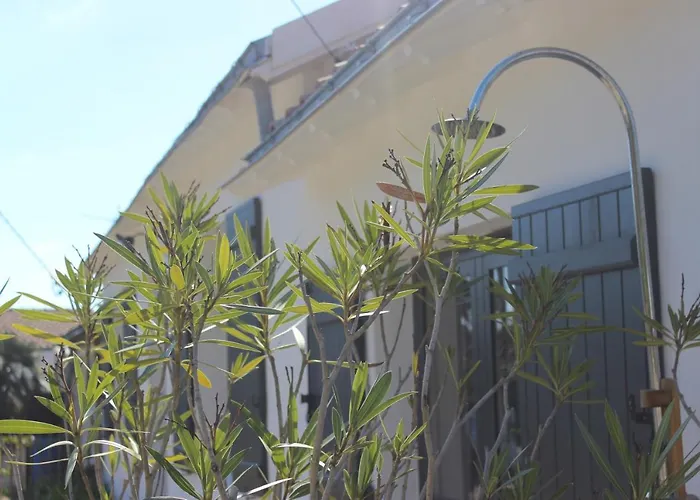 Maison 8 Personnes A 100 M De La De La Clere 펜션 Le Grand Vieil