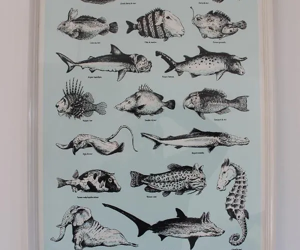 Maison 8 Personnes A 100 M De La De La Clere Prázdninový dům *